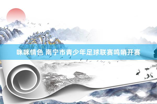 咪咪情色 南宁市青少年足球联赛鸣哨开赛