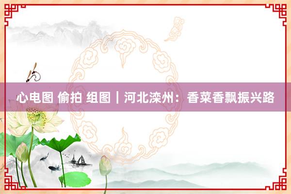 心电图 偷拍 组图｜河北滦州：香菜香飘振兴路