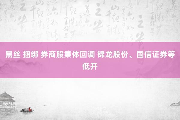 黑丝 捆绑 券商股集体回调 锦龙股份、国信证券等低开