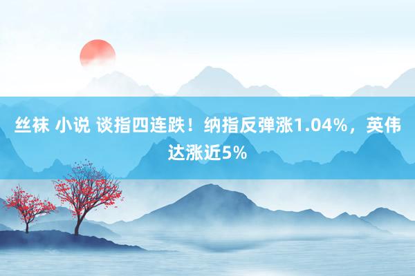 丝袜 小说 谈指四连跌！纳指反弹涨1.04%，英伟达涨近5%