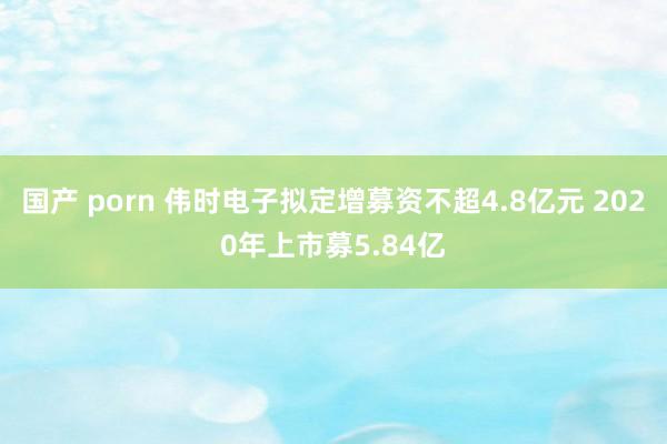 国产 porn 伟时电子拟定增募资不超4.8亿元 2020年上市募5.84亿