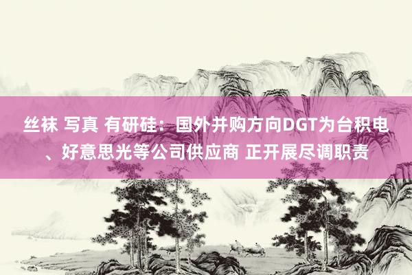 丝袜 写真 有研硅：国外并购方向DGT为台积电、好意思光等公司供应商 正开展尽调职责
