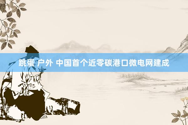 跳蛋 户外 中国首个近零碳港口微电网建成