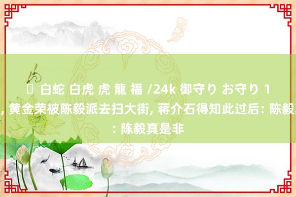 ✨白蛇 白虎 虎 龍 福 /24k 御守り お守り 1951年, 黄金荣被陈毅派去扫大街, 蒋介石得知此过后: 陈毅真是非