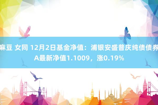 麻豆 女同 12月2日基金净值：浦银安盛普庆纯债债券A最新净值1.1009，涨0.19%