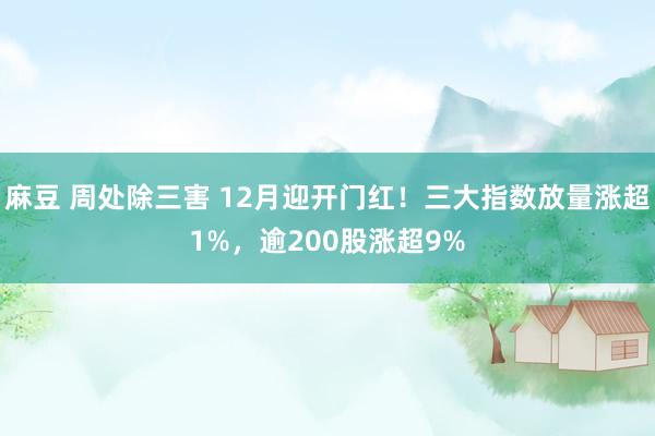 麻豆 周处除三害 12月迎开门红！三大指数放量涨超1%，逾200股涨超9%
