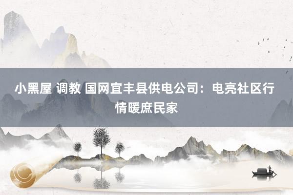 小黑屋 调教 国网宜丰县供电公司：电亮社区行 情暖庶民家