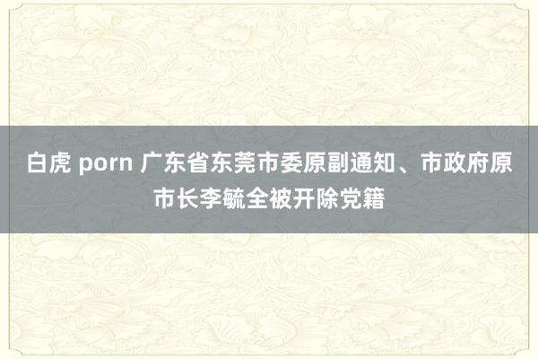 白虎 porn 广东省东莞市委原副通知、市政府原市长李毓全被开除党籍
