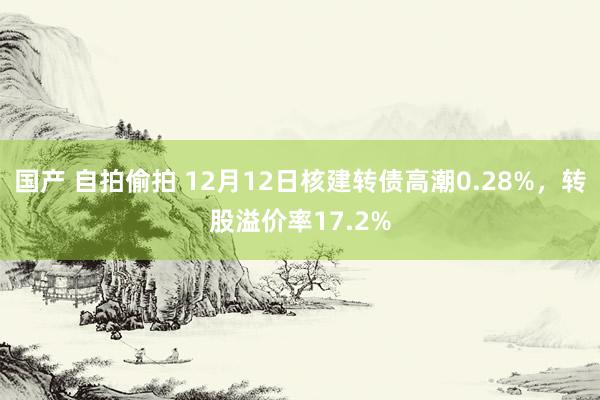 国产 自拍偷拍 12月12日核建转债高潮0.28%，转股溢价率17.2%