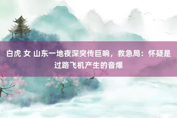 白虎 女 山东一地夜深突传巨响，救急局：怀疑是过路飞机产生的音爆