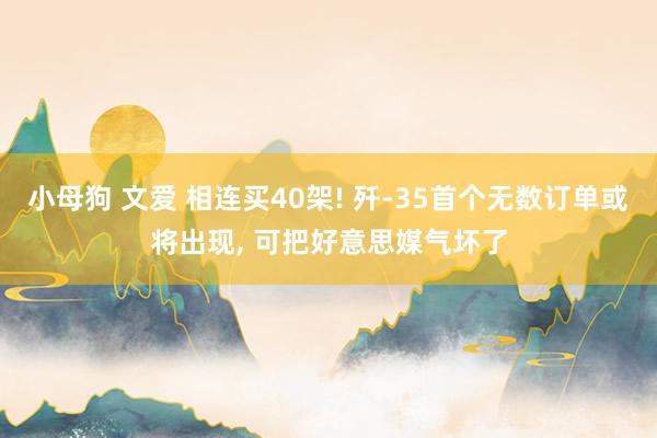 小母狗 文爱 相连买40架! 歼-35首个无数订单或将出现, 可把好意思媒气坏了
