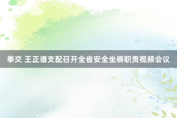 拳交 王正谱支配召开全省安全坐褥职责视频会议