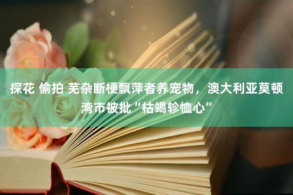 探花 偷拍 芜杂断梗飘萍者养宠物，澳大利亚莫顿湾市被批“枯竭轸恤心”