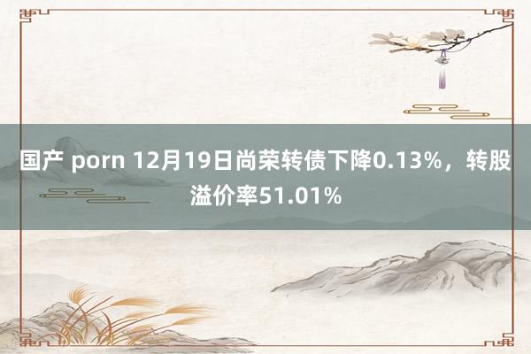 国产 porn 12月19日尚荣转债下降0.13%，转股溢价率51.01%