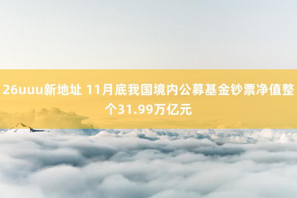 26uuu新地址 11月底我国境内公募基金钞票净值整个31.99万亿元