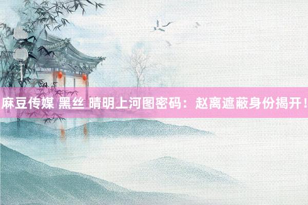 麻豆传媒 黑丝 晴明上河图密码：赵离遮蔽身份揭开！