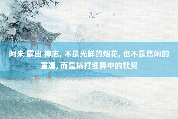 阿朱 露出 神志, 不是光鲜的烟花, 也不是悠闲的重逢, 而是精打细算中的默契