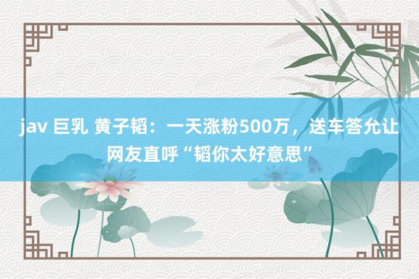 jav 巨乳 黄子韬：一天涨粉500万，送车答允让网友直呼“韬你太好意思”