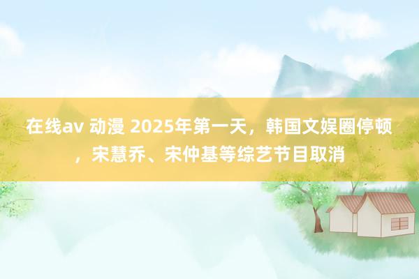 在线av 动漫 2025年第一天，韩国文娱圈停顿，宋慧乔、宋仲基等综艺节目取消