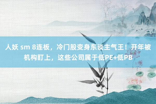 人妖 sm 8连板，冷门股变身东谈主气王！开年被机构盯上，这些公司属于低PE+低PB