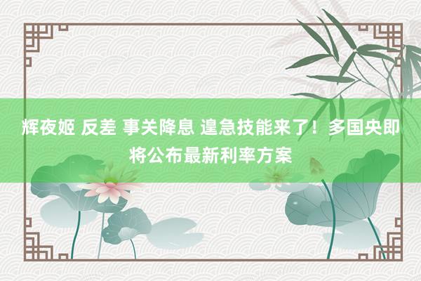 辉夜姬 反差 事关降息 遑急技能来了！多国央即将公布最新利率方案