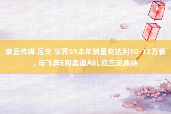 麻豆传媒 足交 享界S9本年销量将达到10-12万辆, 与飞奔E和奥迪A6L成三足鼎峙
