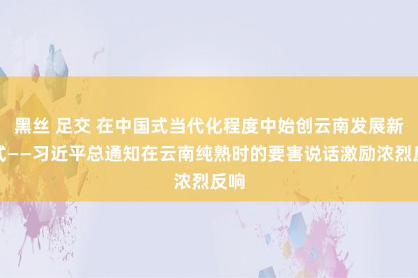 黑丝 足交 在中国式当代化程度中始创云南发展新格式——习近平总通知在云南纯熟时的要害说话激励浓烈反响