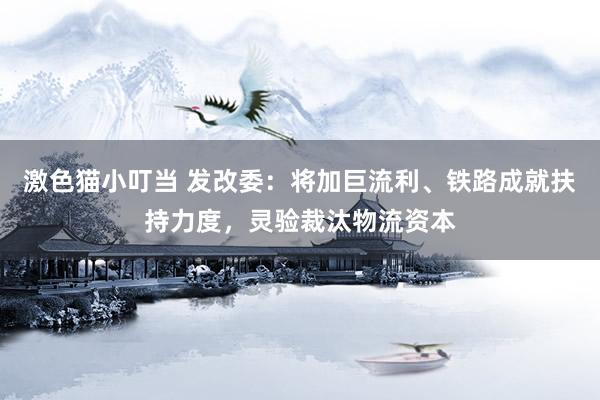 激色猫小叮当 发改委：将加巨流利、铁路成就扶持力度，灵验裁汰物流资本