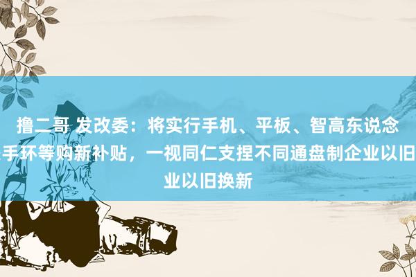 撸二哥 发改委：将实行手机、平板、智高东说念主表手环等购新补贴，一视同仁支捏不同通盘制企业以旧换新