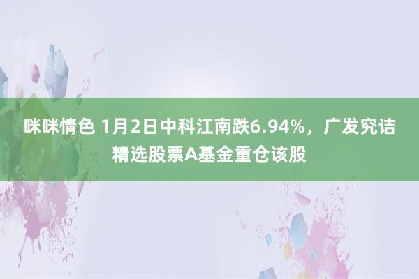 咪咪情色 1月2日中科江南跌6.94%，广发究诘精选股票A基金重仓该股