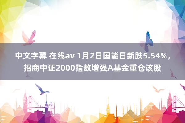 中文字幕 在线av 1月2日国能日新跌5.54%，招商中证2000指数增强A基金重仓该股