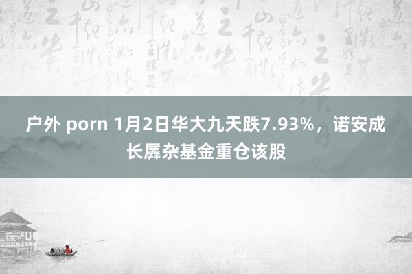 户外 porn 1月2日华大九天跌7.93%，诺安成长羼杂基金重仓该股