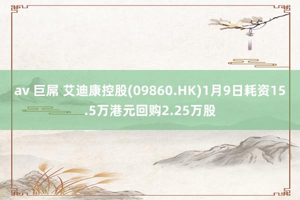 av 巨屌 艾迪康控股(09860.HK)1月9日耗资15.5万港元回购2.25万股