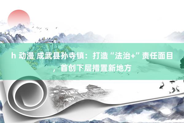 h 动漫 成武县孙寺镇：打造“法治+”责任面目，首创下层措置新地方