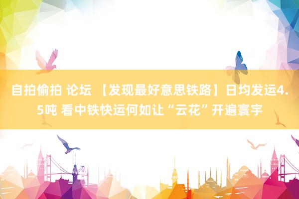 自拍偷拍 论坛 【发现最好意思铁路】日均发运4.5吨 看中铁快运何如让“云花”开遍寰宇