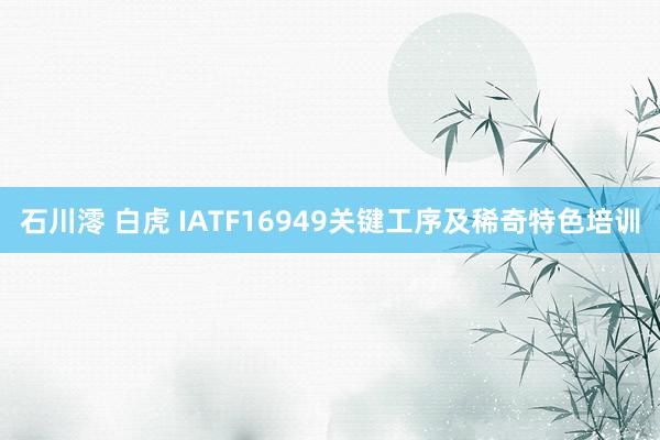 石川澪 白虎 IATF16949关键工序及稀奇特色培训