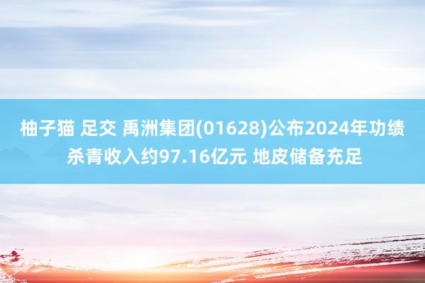 柚子猫 足交 禹洲集团(01628)公布2024年功绩 杀青收入约97.16亿元 地皮储备充足