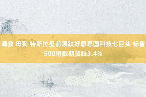 调教 母狗 特斯拉盘前领跌好意思国科技七巨头 标普500指数期货跌3.4%