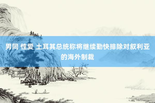 男同 性愛 土耳其总统称将继续勤快排除对叙利亚的海外制裁
