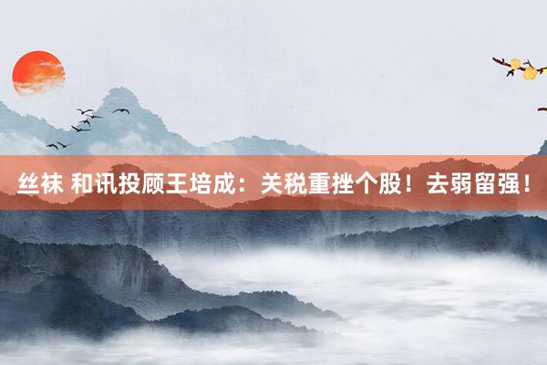 丝袜 和讯投顾王培成：关税重挫个股！去弱留强！