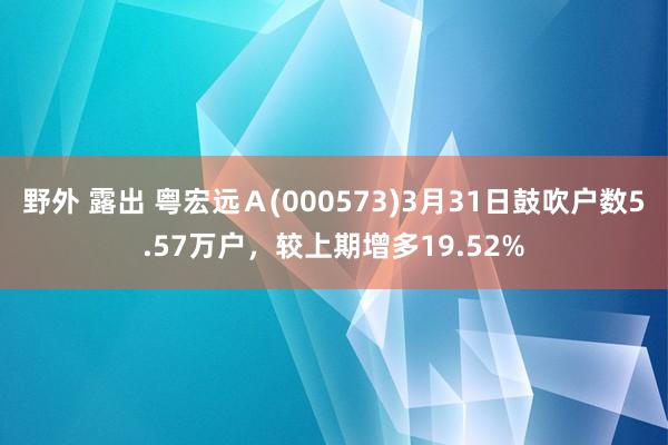 野外 露出 粤宏远Ａ(000573)3月31日鼓吹户数5.57万户，较上期增多19.52%