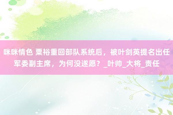 咪咪情色 粟裕重回部队系统后，被叶剑英提名出任军委副主席，为何没遂愿？_叶帅_大将_责任