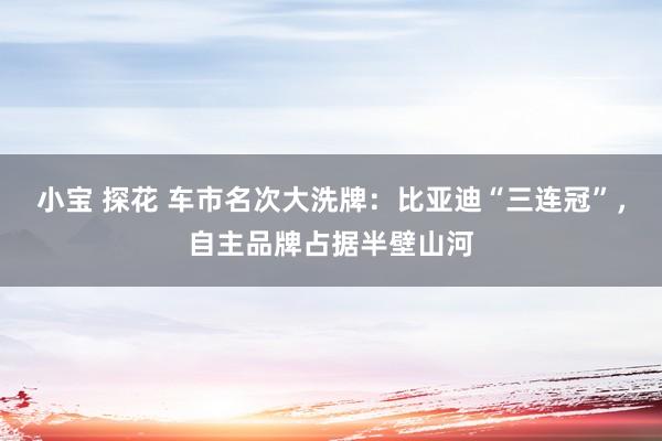 小宝 探花 车市名次大洗牌：比亚迪“三连冠”，自主品牌占据半壁山河