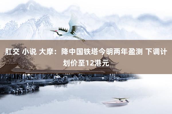 肛交 小说 大摩：降中国铁塔今明两年盈测 下调计划价至12港元