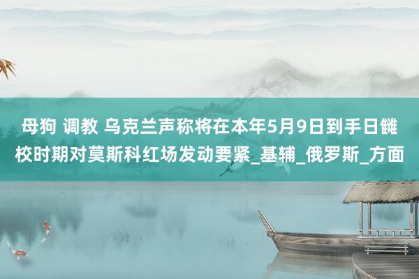 母狗 调教 乌克兰声称将在本年5月9日到手日雠校时期对莫斯科红场发动要紧_基辅_俄罗斯_方面