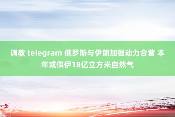 调教 telegram 俄罗斯与伊朗加强动力合营 本年或供伊18亿立方米自然气