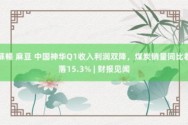蘇暢 麻豆 中国神华Q1收入利润双降，煤炭销量同比着落15.3% | 财报见闻